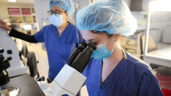 embryology lab technicians illume fertility